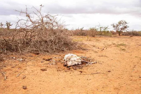 Verödetes Land
