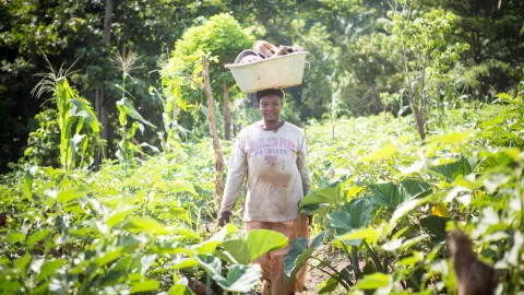 Eine Frau in Ghana balanciert einen Korb auf dem Kopf