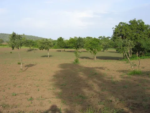Nachher