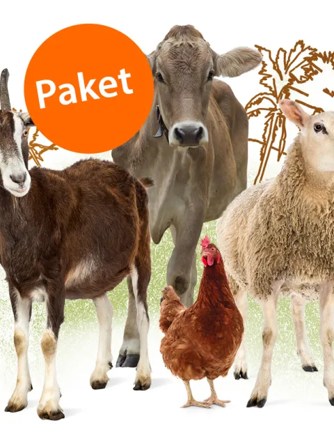 Sinnvolles Geschenk: Paket Voller Stall