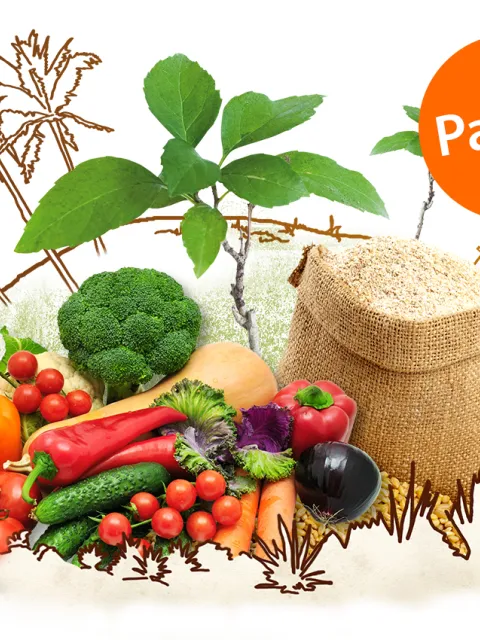 Sinnvolles Geschenk: Paket Querbeet