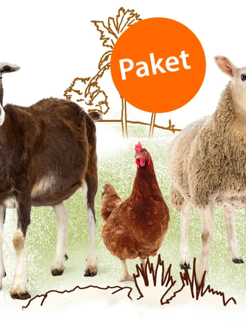 Sinnvolles Schenken -Paket: tierische Helfer