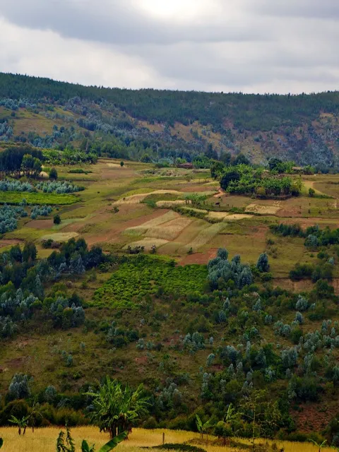 Landschaft in Burundi