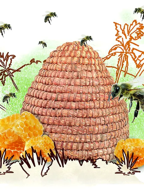 Sinnvolles Geschenk: Bienenstock