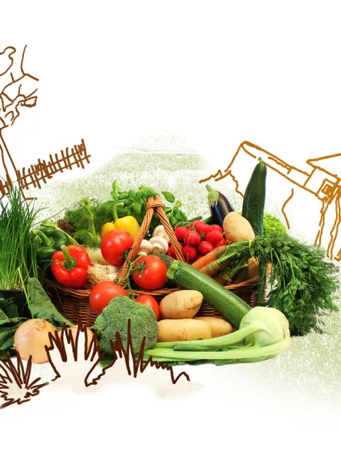 Sinnvolles Geschenk: Gemüsegarten