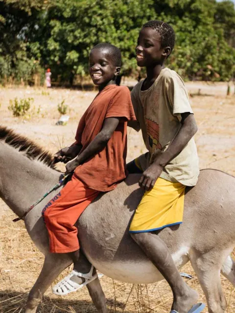 Jungen reiten auf einem Esel im Senegal