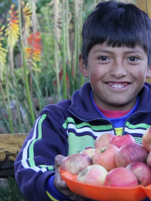 Junge mit Äpfeln in Peru