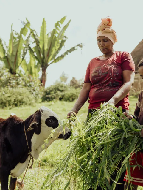 Bauarbeit mit World Vision