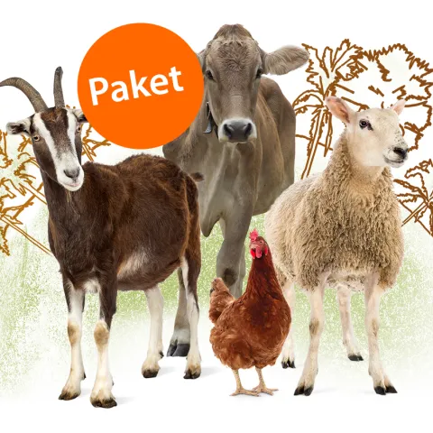 Sinnvolles Geschenk: Paket Voller Stall
