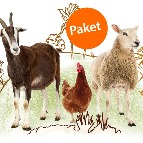 Sinnvolles Schenken -Paket: tierische Helfer