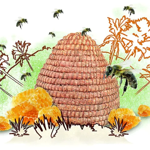 Sinnvolles Geschenk: Bienenstock