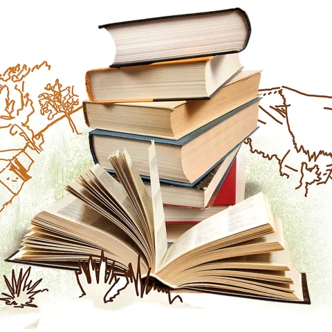 Sinnvolles Geschenk: Bücher