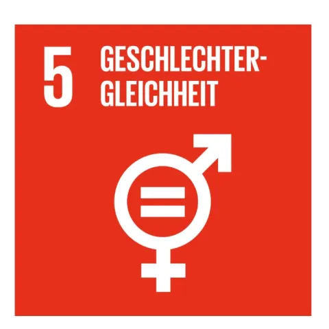 SDG Icons