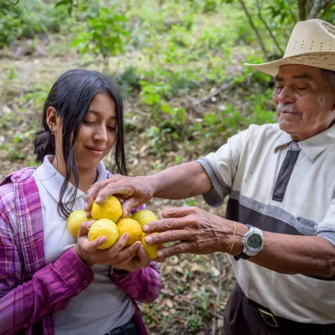 Patenkind Nahomy aus Honduras mit ihrem Großvater bei der Zitronenernte