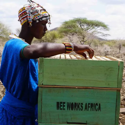 Frau aus Kenia mit Bienenkorb