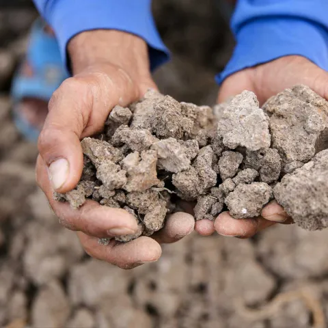 Immer häufiger auftretende Trockenheit macht dem Boden zu schaffen. In den Schulungen von World Vision lernen Chantrea und ihr Mann, wie sie ihre Landwirtschaft an die klimatischen Bedingungen anpassen können. 