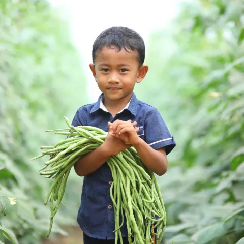 Für Chantreas Kinder sind die Bohnen nicht nur lecker und gesund. Mit dem verbesserten Einkommen können ihre Eltern Schulmaterialien und Klamotten kaufen und auch für die Zukunft sparen. 