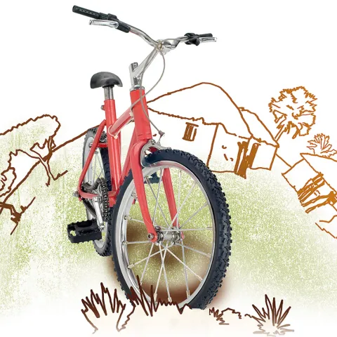 Sinnvolles Geschenk: Fahrrad