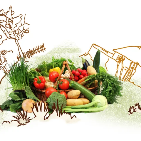 Sinnvolles Geschenk: Gemüsegarten
