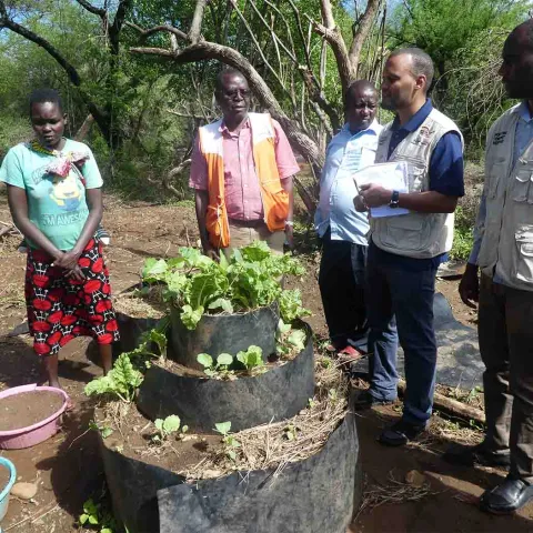 Gemüseanbau in einem Projekt in Kenia