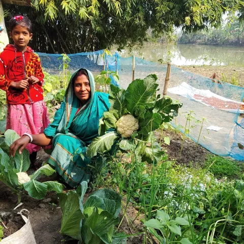 Mit biologischem Anbau von Gemüse können Frauen in Bangladesch auch auf einer kleinen Landparzelle die Ernährung ihrer Familien verbessern.