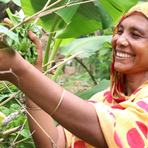 Kleinbäuerin aus Bangladesch