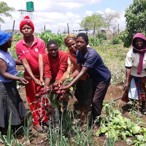 World Vision Maßnahme Schulung in Landwirtschaft