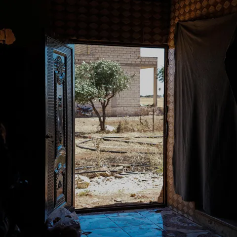 Syrien: Blick von Alis Haustür auf einen Olivenbaum 