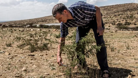 World Vision Mitarbeiter Tony Rinaudo erhält alternativen Nobelpreis
