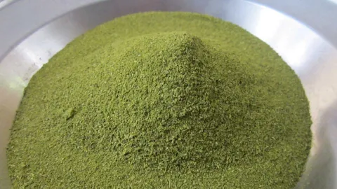 Moringa-Pulver