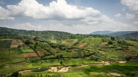 Burundi Grünlandschaft