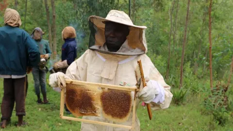 Imkerei Burundi