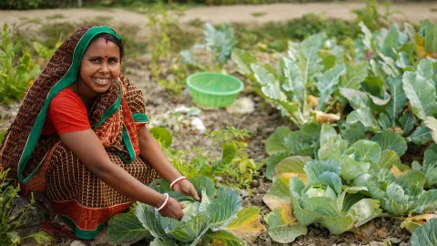 Einkommenssicherung in Bangladesch