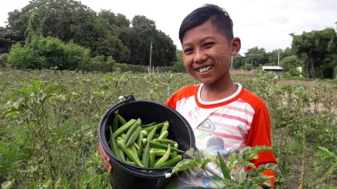 Ernährung in Myanmar
