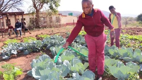 Ernährung und Einkommen in eSwatini dank Kinderpatenschaft