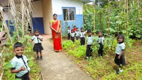 Gesunde Ernährung in Sri Lanka