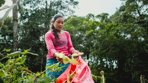Ernährung in Honduras