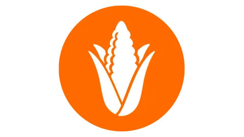 Icon Ernte