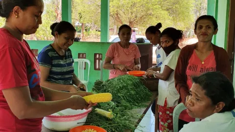 Landwirtschaft Indonesien
