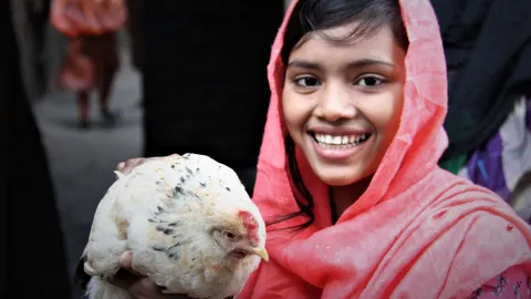 Landwirtschaft und Einkommen in Bangladesch