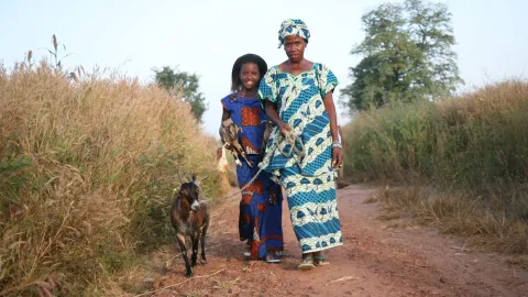 Landwirtschaft Senegal