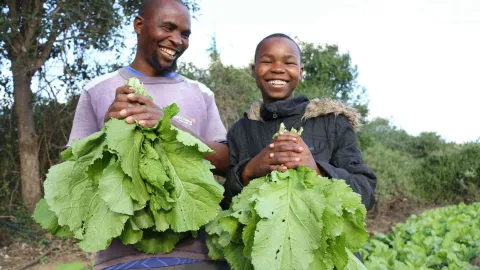 Landwirtschaft in Simbabwe
