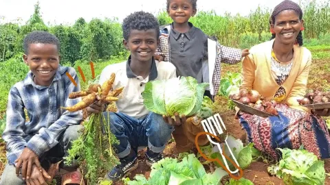 Ernährung in Nedjo