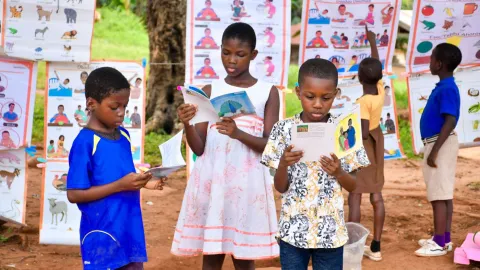 Bildung Ghana