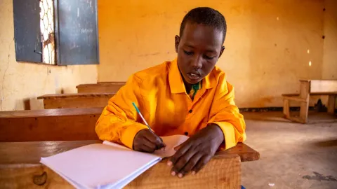 Erfolgsgeschichte Somalia