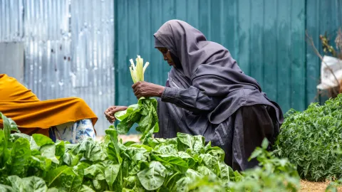 Somalia Ernährung