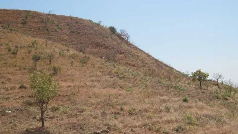 Vetrocknete Landschaft