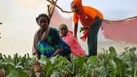 Frauengruppe in Kenia