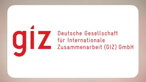 Öffentliche Geber: GiZ