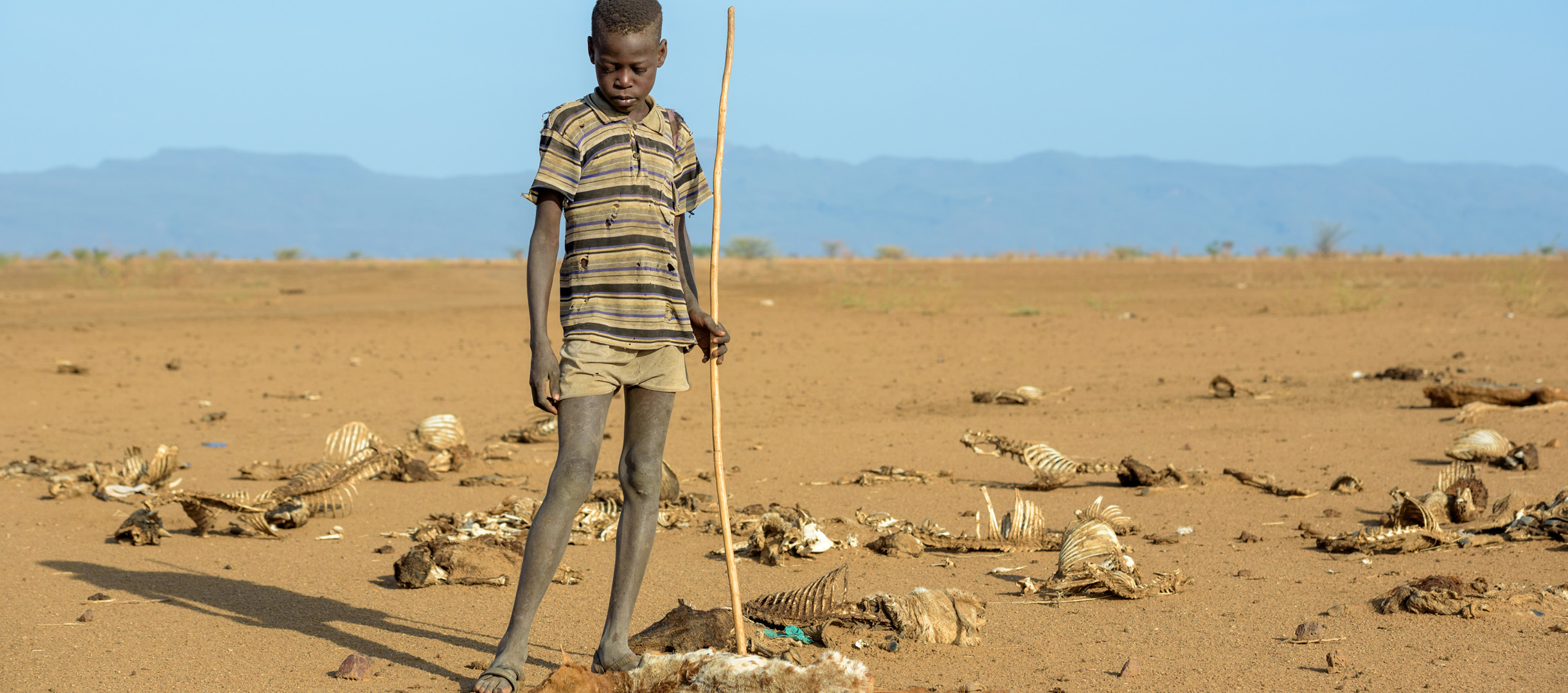 Nord-Kenia Junge mit seinem Lieblingsschaf